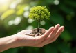 © crispy - Human hand holding small tree growing from coins. Concept of sustainable financial investment and business growth for ecological future