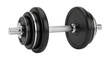 © MINTU - Black dumbbell isolated on transparent background