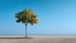© Matcha_09 - Solitary tree on a sandy beach with clear blue sky and spacious horizon, showcasing nature's beauty in a tranquil seaside environment