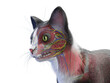 © Sebastian Kaulitzki - A Detailed 3D Depiction Of The Muscular System Of A Cat