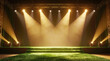 © Vladimir - spotlight on stage