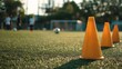 © Marco - cone on a soccer training field