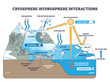 © VectorMine - Cryosphere hydrosphere interactions, glaciers meet ocean, melting, runoff and albedo shape sea level. Key objects, glacier, sea ice, ocean. Outline diagram