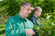 © auremar - joyful smiling couple engaged in gardening in the backyard garden