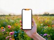 © Stromlab-2 - Hand holding smartphone with blank screen in a flower field