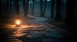 © agus - Lantern on Forest Pathway.