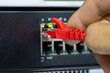© piyaphunjun - Close-up of a hand plugging a red ethernet cable into a network switch or router. Concept of data connection, internet technology, and IT infrastructure.