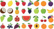 © MdNazmul - Fresh tropical and seasonal fruits illustration set with colorful healthy food icons, organic produce collection for nutrition, grocery design, and natural lifestyle flat vector artwork