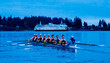 © Connect Images - Rowing team practices on a calm lake with a ferry and forested background under a blue sky. WA, USA
