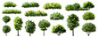 © Wattanapong - Vertor set of green tree,plants side view for landscape elevations,element for backdrop,eco environment concept design,watercolor greenery scene,shrub