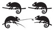 © M Bilal - Chameleon Hunting Fly Sequence Silhouette Vector Illustration Isolated on White