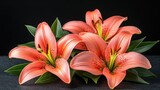 Coral lilies on dark stone