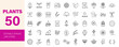 © Dear Lala - Plants icon set. Editable line icons. Vector illustration.