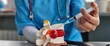 © Nadzeya - Anatomy model of human spine shows hnp and medical syringe concept