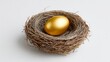 © Nataliia_Trushchenko - Bird's nest with a single glowing golden egg at the center, surrounded by twigs and grass, placed on a pure white background with high contrast and clean composition, ideal for editorial use