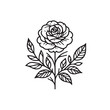 © Design Lab - Beautiful rose flower minimal monochrome line drawing simple delicate botanical nature illustration graphic