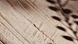 © Karen Images - Natural Shadow Overlay of Leaves on Brown Wooden Texture. Empty Space for Text.