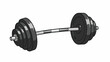 © asipha97 - Illustration of a dumbbell with stacked weights on a chrome barbell against a white background.