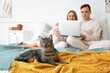 © Pixel-Shot - Cute cat of young couple in bedroom, closeup
