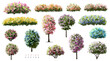 © Wattanapong - Vertor set of spring blossom tree,blooming plants side view for landscape elevation and section,eco environment concept design,watercolor meadows illustration,colorful season