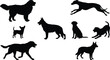 © Shahariar's World - Set of various dog silhouettes in different poses isolated on white background, black canine shapes collection for pet design, logo, poster, and creative projects