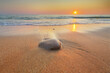 © GIS - Nature landscape of stone on sandy beach. Close up view of smooth wet pebbles on a sea shore at the sunset.