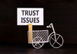 © Dzmitry - Trust issues symbol. Concept word Trust issues on beautiful white paper. Beautiful wooden clothespin. Miniature white bicycle. Beautiful black background. Business trust issues concept. Copy space.