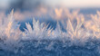 © HugePNG - 4K Closeup of delicate frost crystals sparkling in the morning light, creating a beautiful winter texture and natural background image