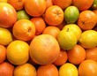 © Kitta Studio - Vibrant Display of Fresh Citrus Fruits in Mixed Colors and Textures