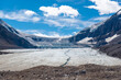© SL-Photography - Athabasca glacier in summer, Banff national park, Alberta, Canada.