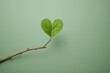 © satyamanav - Heart shaped green leaf on sage background for Valentine nature concept. Minimalist botanical heart leaf symbol for organic love and romantic design.