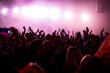© Westend61 - Crowd dancing and cheering at live concert event in Berlin arena