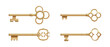 © Sensvector - Vintage gold coated keys with filigree design of royal baroque aesthetics. Vector realistic curves and scrollwork golden devices with notched blades. Instruments for home, items for opening doors
