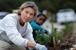 © Milos - Dedicated individuals engage in a community effort to plant flowers, emphasizing teamwork, environmental responsibility, and the satisfaction derived from nurturing the earth.