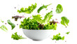© rifqi - Fresh salad greens, spilling from white bowl, scattered, on a transparent black background