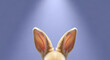 © PhotoArtHub - Close-up of rabbit ears with soft, light orange fur against a light purple background, representing animal, springtime, Easter holiday celebration