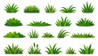 © stas111 - Grass vector collection. Set of cartoon grass tufts and lawn elements for nature scenes isolated on white
