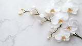 A minimalist floral arrangement with white orchids on a marble surface - .