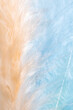 © ADDICTIVE STOCK - Delicate orange and blue feather texture closeup