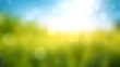 © Mariusz Blach - Sunny spring meadow blur background, blue sky to green grass gradient