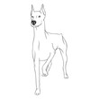 © Vexels - Standing doberman dog stroke