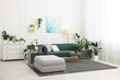 © New Africa - Different potted houseplants, sofa and other furniture in living room