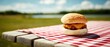 © kvladimirv - Juicy Cheeseburger on Picnic Table by Lakeside in Sunny Outdoor Setting