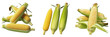 © Rama - Fresh sweet corn cobs with green husks isolated on white background, raw organic maize ears set for cooking