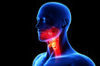 © nilofa - Throat cancer tumor Human neck anatomy with inflamed lymph nodes and throat image