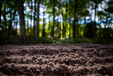 Soil texture with green nature bokeh background. Soil surface. Ground for eco design projects. Fertile soil and humus. Closeup of dirt and clay in farm field. Soil for planting. Cultivated land.