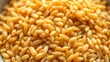 © Kuma - Close-up of a bowl containing cooked grains, highlighting their elongated shape.