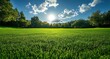 © Md - Lush green meadow under a bright sun and blue sky with clouds field grass