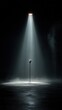 © Marta P. (Milacroft) - Spotlight shining on empty stage vintage microphone