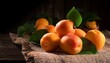 © Judith - Chiaroscuro Still Life Of Ripe Apricots With Leaves On Rustic Burlap